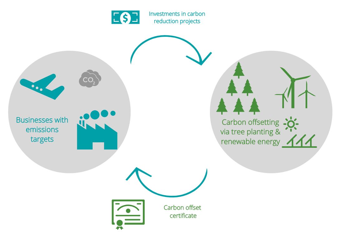 Carbon offsetting projects